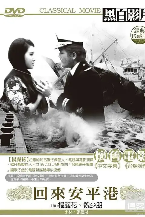 《回来安平港》封面
