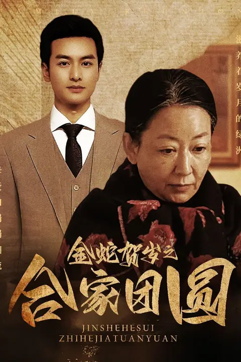 《金蛇贺岁之合家团圆》封面