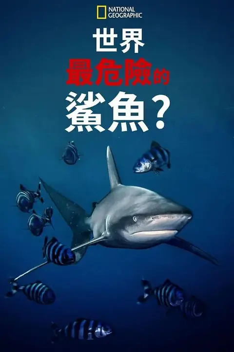 《世上最危险的鲨鱼》封面