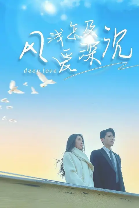 《风浅怎及爱深沉》封面