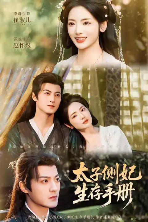 《太子侧妃生存手册》封面