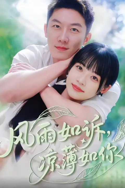 《风雨如诉凉薄如你》封面