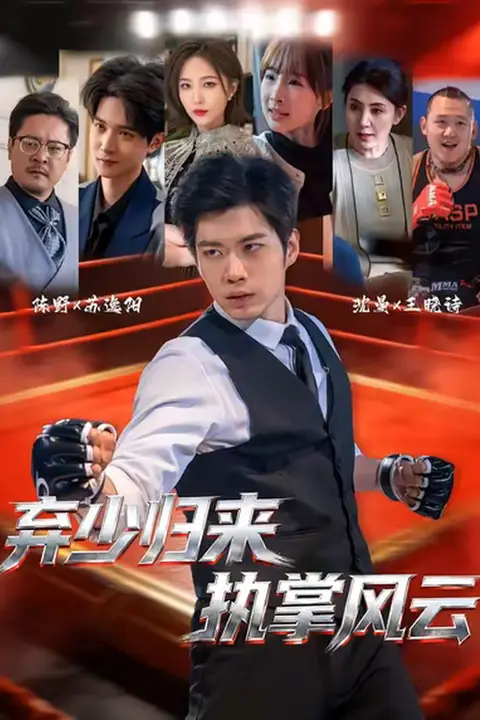 《弃少归来,执掌风云》封面