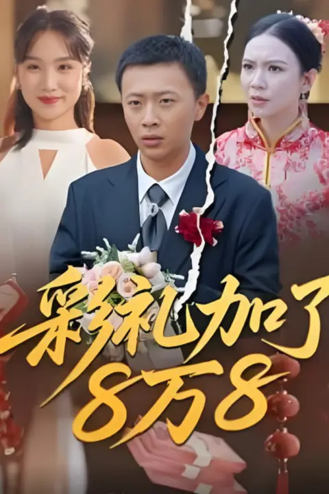 《彩礼加了8万8》封面