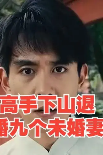 《高手下山退婚九个未婚妻》封面