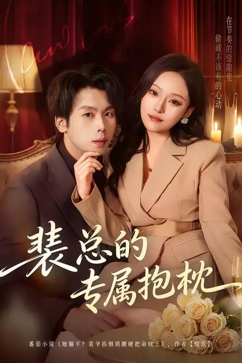 《裴总的专属抱枕》封面