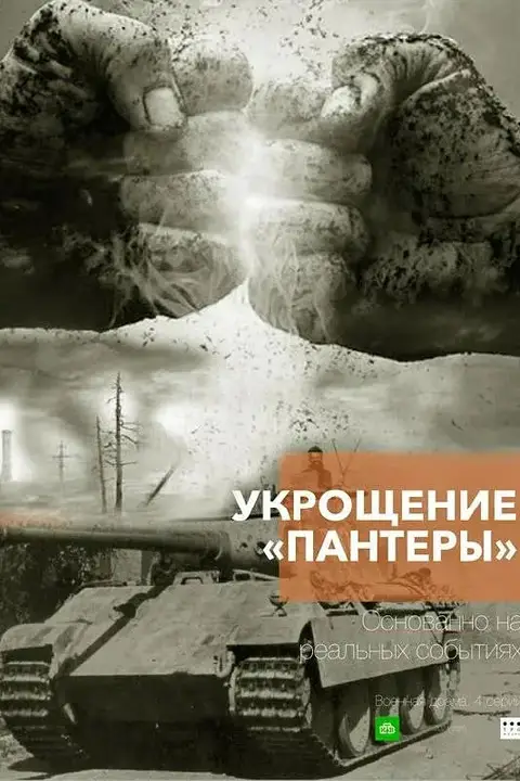 《驯服《黑豹》》封面