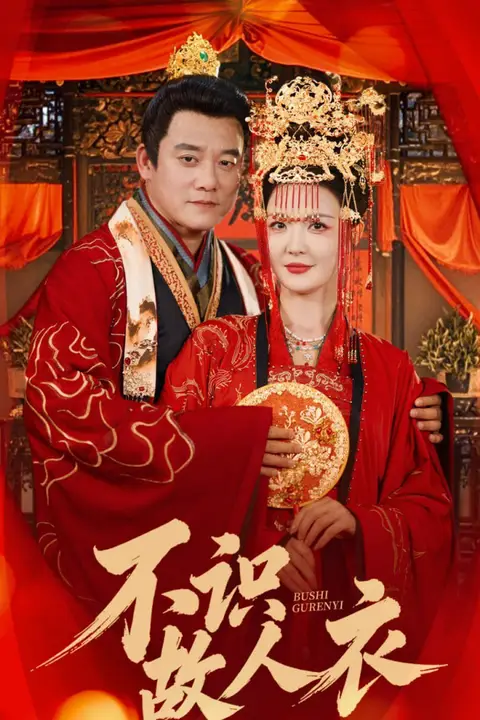《不识故人衣》封面