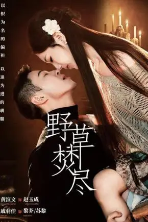 《野草焚尽》封面