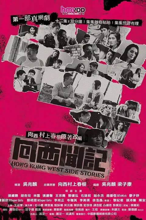 《向西闻记》封面