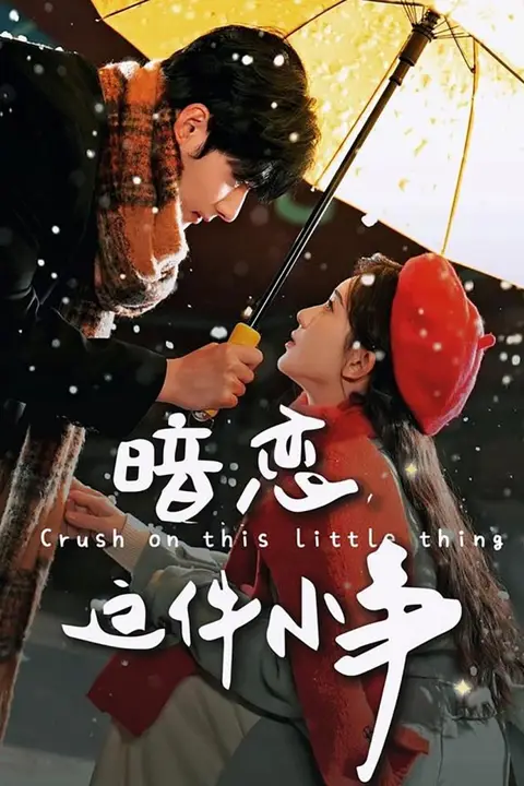 《暗恋这件小事》封面
