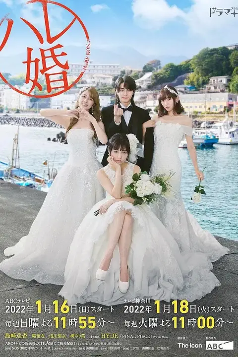 《后宫婚》封面