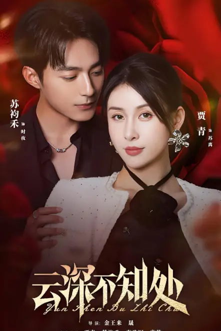 《云深不知处》封面