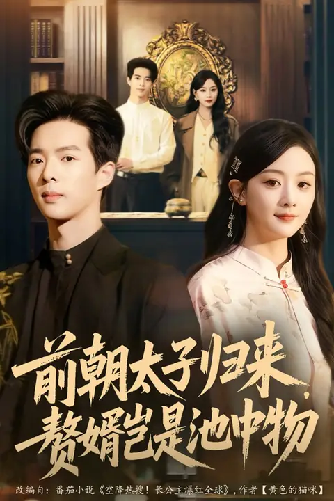《前朝太子归来，赘婿岂是池中物》封面