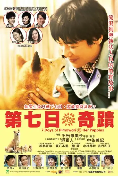《向日葵与幼犬的7天》封面