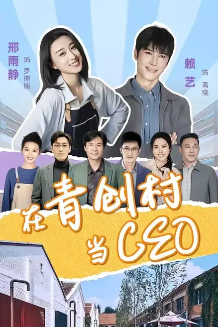 《在青创村当 CEO》封面