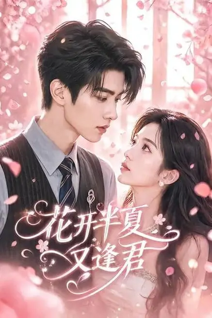 《花开半夏又逢君》封面