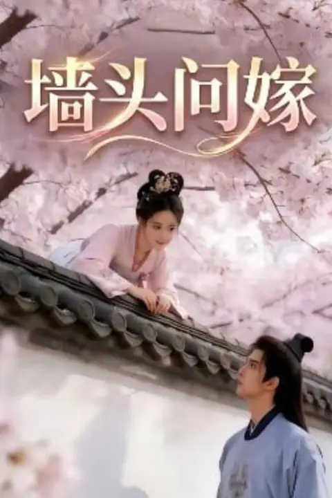 《墙头问嫁》封面