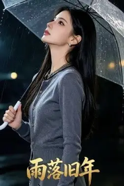 《雨落旧年》封面