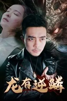 《龙有逆鳞》封面