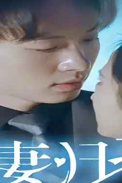 《新：娇妻归来》封面