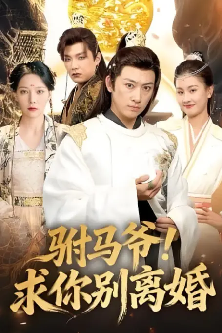 《驸马爷!求你别离婚》封面