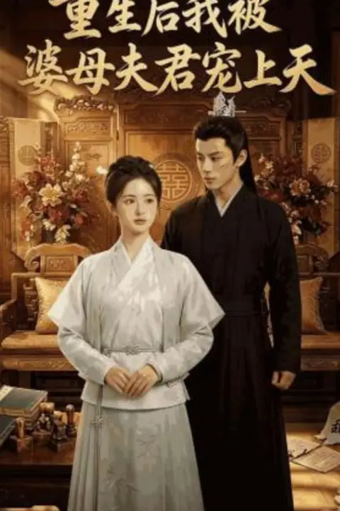 《重生后我被婆母夫君宠上天》封面
