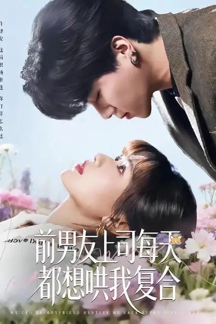 《前男友上司每天都想哄我复合》封面