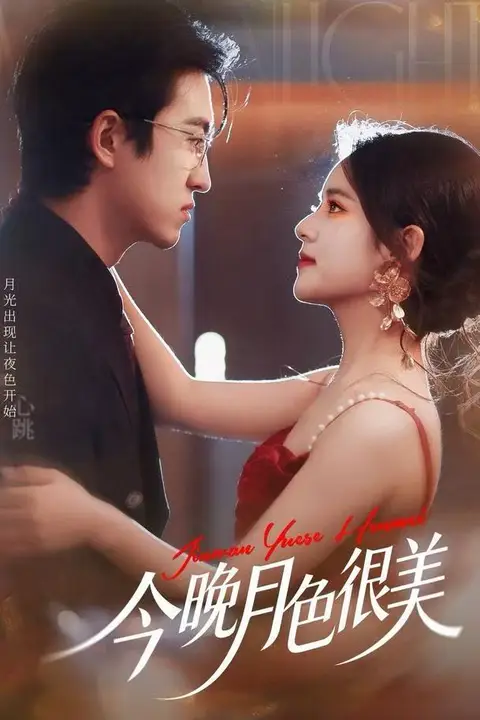 《今晚月色很美》封面