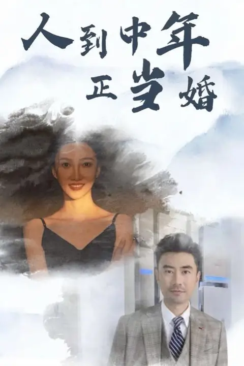 《人到中年正当婚》封面