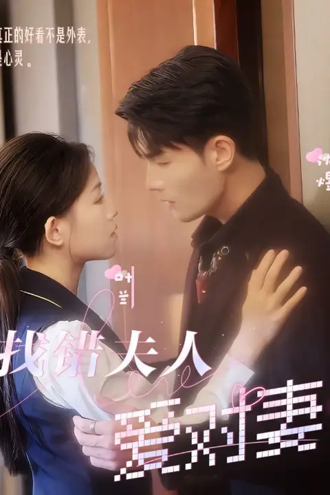 《找错夫人爱对妻》封面
