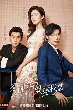 《奈何boss要娶我2》封面