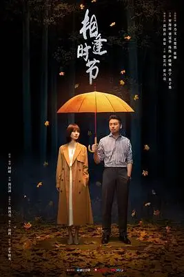 《相逢时节》封面